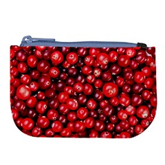 Cranberries 2 Large Coin Purse by trendistuff