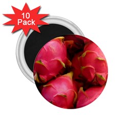 Dragonfruit 2 25  Magnets (10 Pack)  by trendistuff