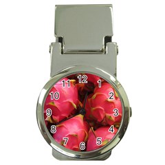 Dragonfruit Money Clip Watches by trendistuff