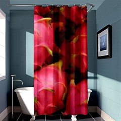 Dragonfruit Shower Curtain 36  X 72  (stall)  by trendistuff