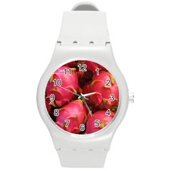 Dragonfruit Round Plastic Sport Watch (m) by trendistuff