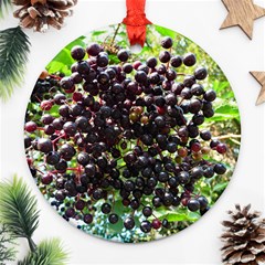 Elderberries Ornament (round) by trendistuff