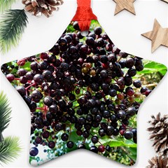 Elderberries Ornament (star) by trendistuff