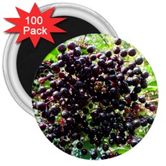 Elderberries 3  Magnets (100 Pack) by trendistuff