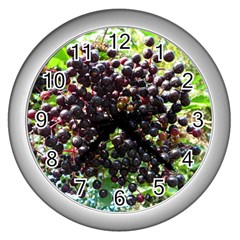 Elderberries Wall Clocks (silver)  by trendistuff