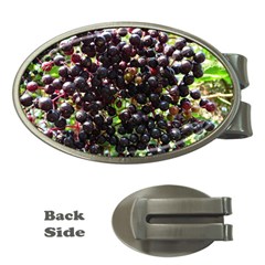 Elderberries Money Clips (oval)  by trendistuff