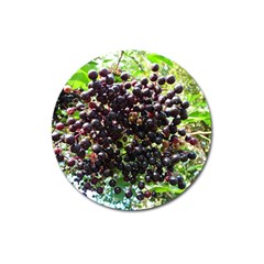 Elderberries Magnet 3  (round) by trendistuff