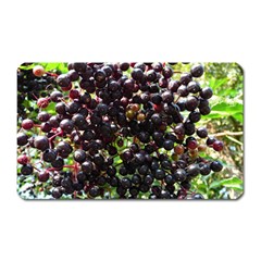 Elderberries Magnet (rectangular) by trendistuff