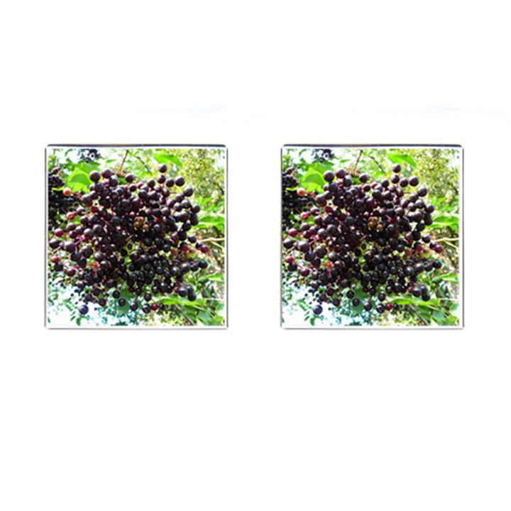 ELDERBERRIES Cufflinks (Square)