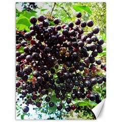 Elderberries Canvas 12  X 16   by trendistuff