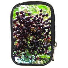 Elderberries Compact Camera Cases by trendistuff