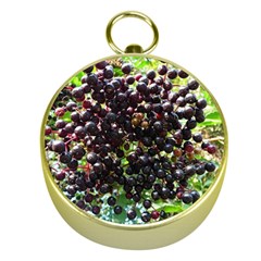 Elderberries Gold Compasses by trendistuff