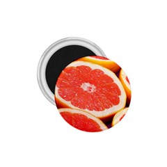 Grapefruit 1 1 75  Magnets by trendistuff