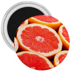 Grapefruit 1 3  Magnets by trendistuff