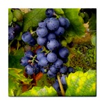 GRAPES 1 Tile Coasters