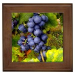 GRAPES 1 Framed Tiles