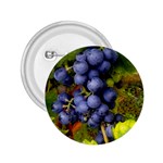 GRAPES 1 2.25  Buttons