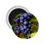 GRAPES 1 2.25  Magnets