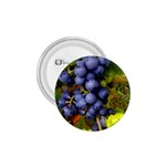 GRAPES 1 1.75  Buttons