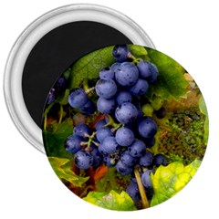 Grapes 1 3  Magnets by trendistuff