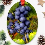 GRAPES 1 Ornament (Oval)