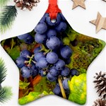 GRAPES 1 Ornament (Star)