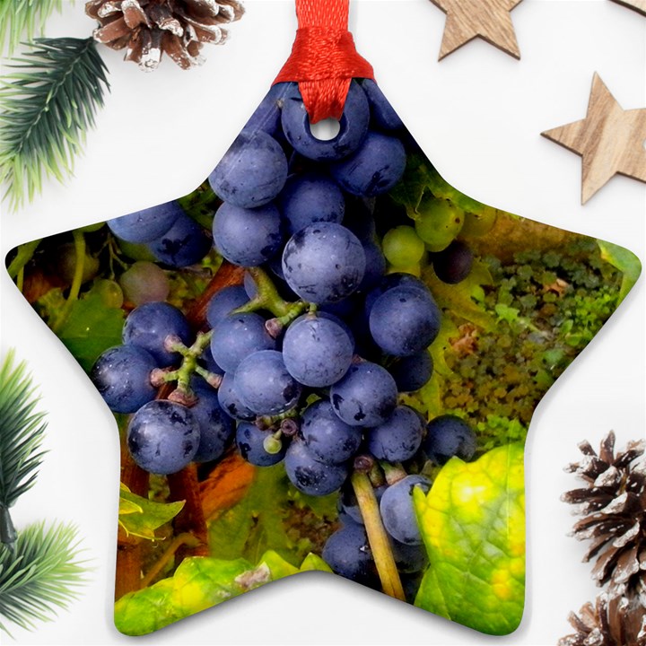 GRAPES 1 Ornament (Star)