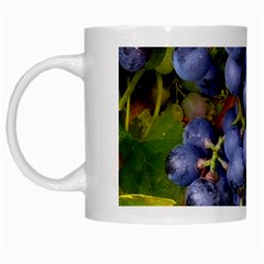 Grapes 1 White Mugs by trendistuff