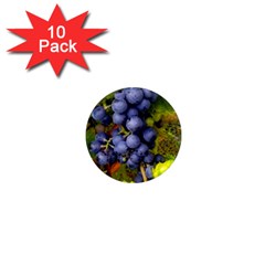 Grapes 1 1  Mini Magnet (10 Pack)  by trendistuff