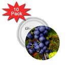 GRAPES 1 1.75  Buttons (10 pack)