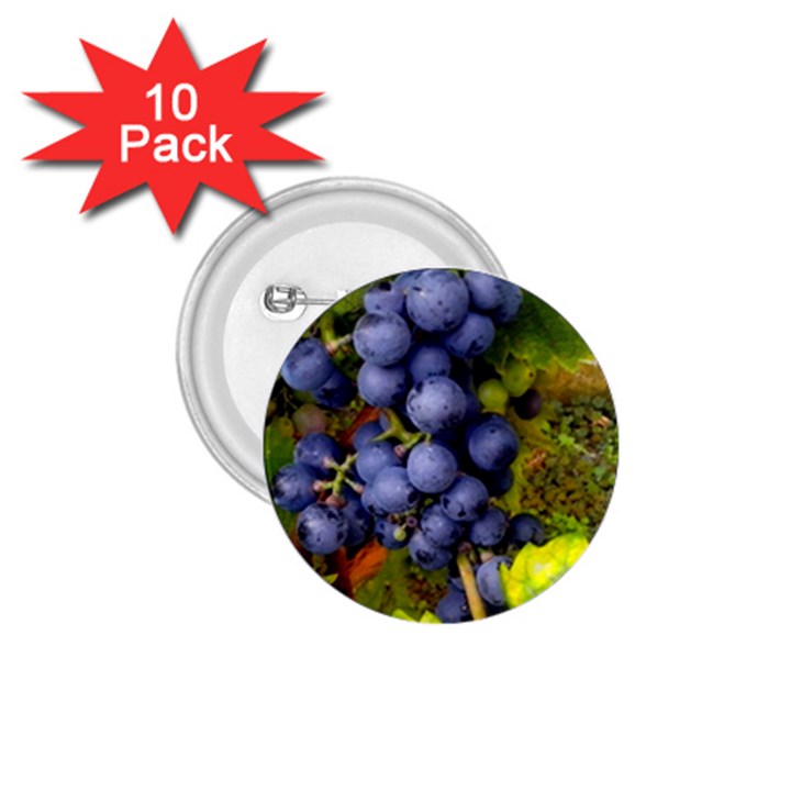 GRAPES 1 1.75  Buttons (10 pack)