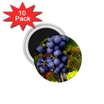 GRAPES 1 1.75  Magnets (10 pack) 