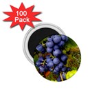 GRAPES 1 1.75  Magnets (100 pack) 