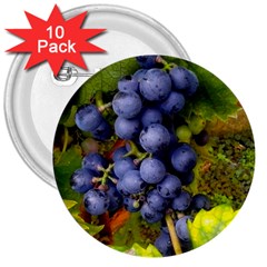 Grapes 1 3  Buttons (10 Pack) 