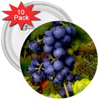 GRAPES 1 3  Buttons (10 pack) 