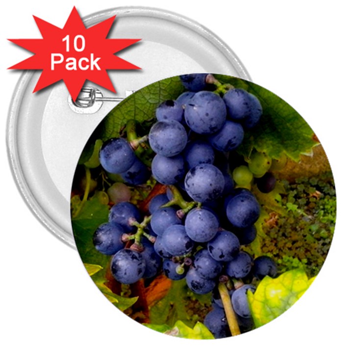 GRAPES 1 3  Buttons (10 pack) 