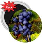 GRAPES 1 3  Magnets (10 pack) 