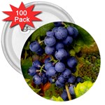 GRAPES 1 3  Buttons (100 pack) 