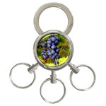 GRAPES 1 3-Ring Key Chains