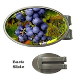 GRAPES 1 Money Clips (Oval) 