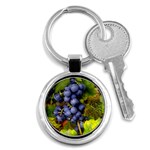 GRAPES 1 Key Chains (Round) 