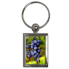 Grapes 1 Key Chains (rectangle)  by trendistuff