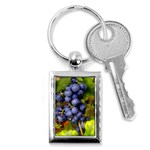 GRAPES 1 Key Chains (Rectangle) 