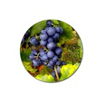 GRAPES 1 Magnet 3  (Round)