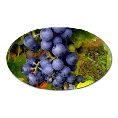 Grapes 1 Oval Magnet by trendistuff