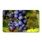 GRAPES 1 Magnet (Rectangular)