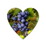 GRAPES 1 Heart Magnet