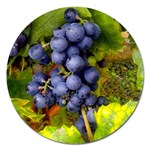 GRAPES 1 Magnet 5  (Round)