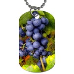 GRAPES 1 Dog Tag (Two Sides)