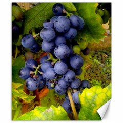 Grapes 1 Canvas 8  X 10  by trendistuff